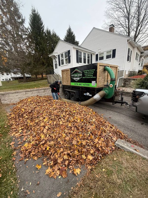 Fall Clean Up