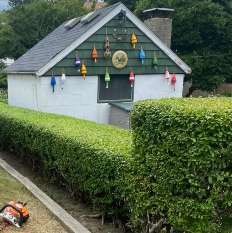 Property Maintenance
