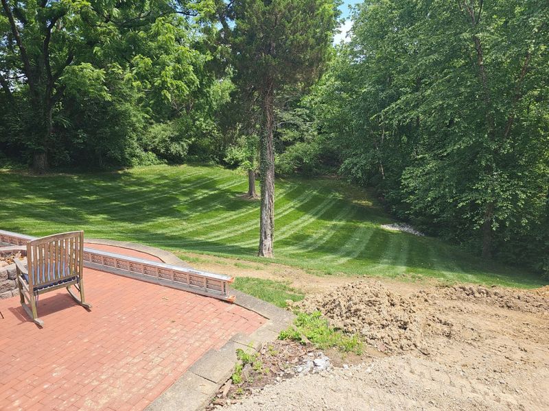 Lawn Maintenance