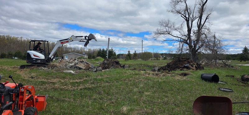Lot Clearing