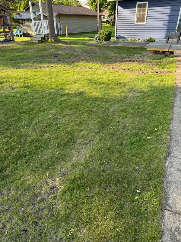 Land Clearing und Grading