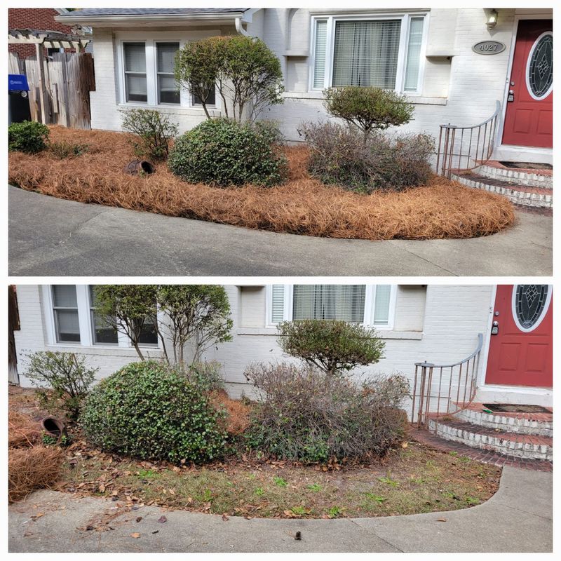 Clean Ups