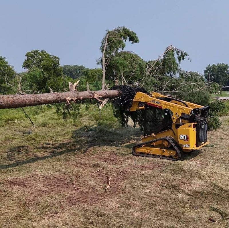 Forestry Mulching