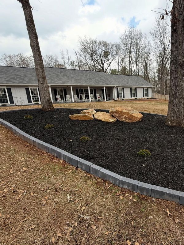 Backyard Remodel
