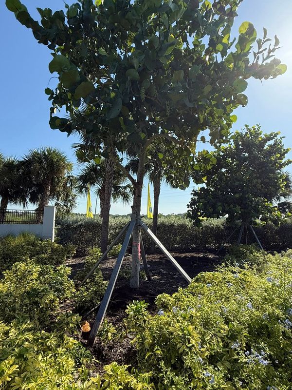 Mulch Installation
