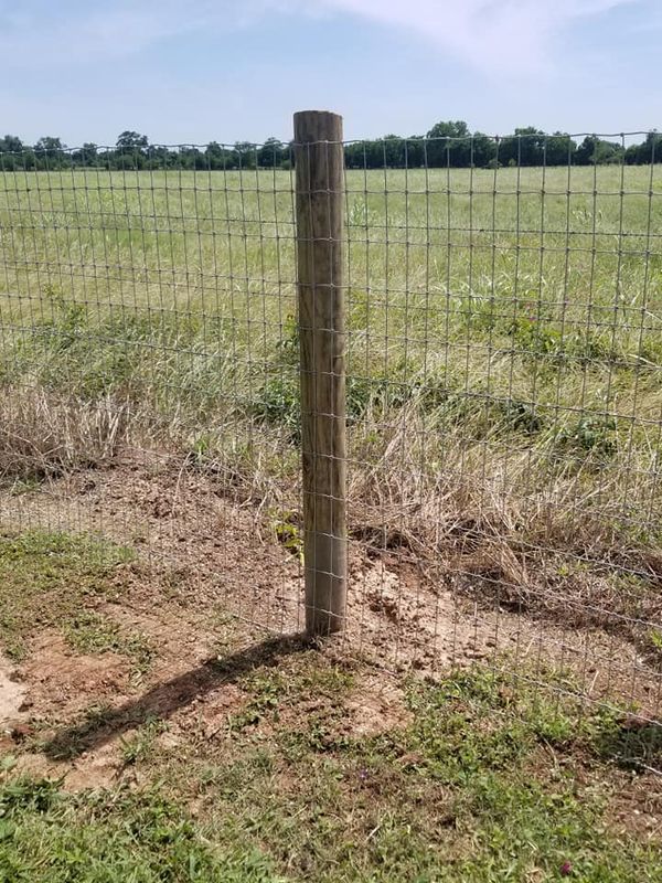 Field Fence (Wood post and wire)