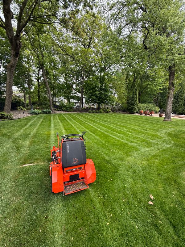 Lawn Maintenance