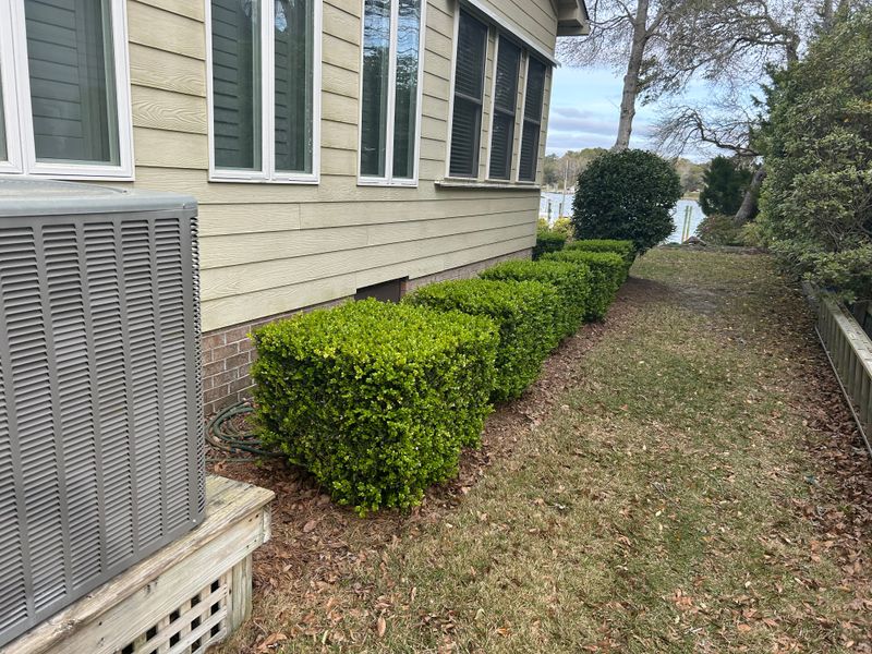 Shrub trimming
