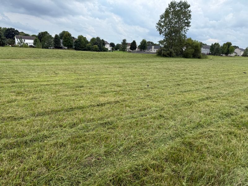 Field Mowing