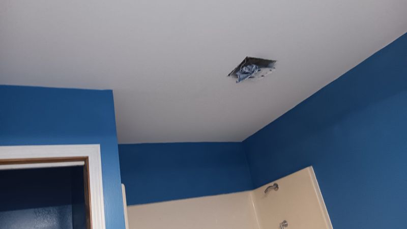 Drywall Repair and Paint