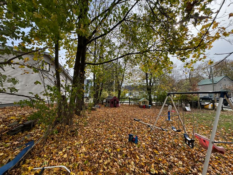 Fall Cleanup