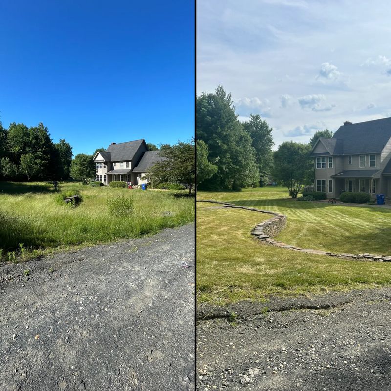 Lawn Maintenance