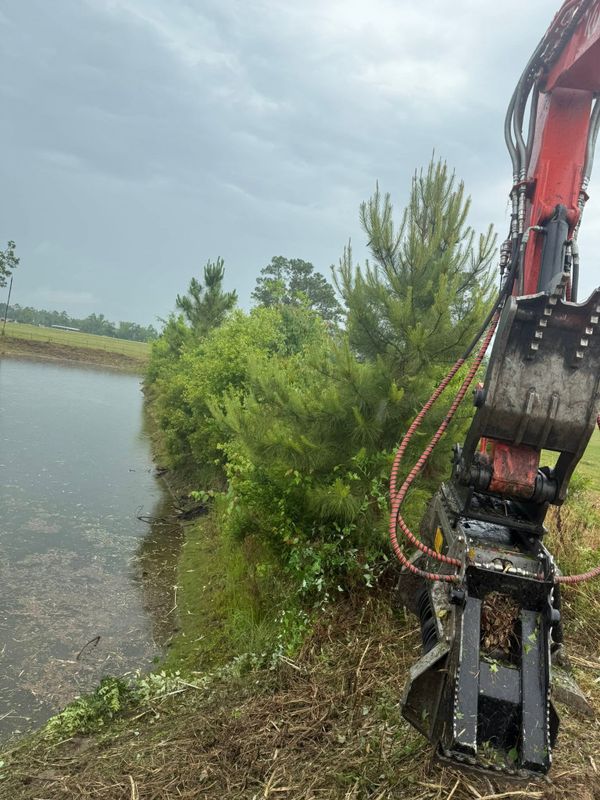 Land Clearing