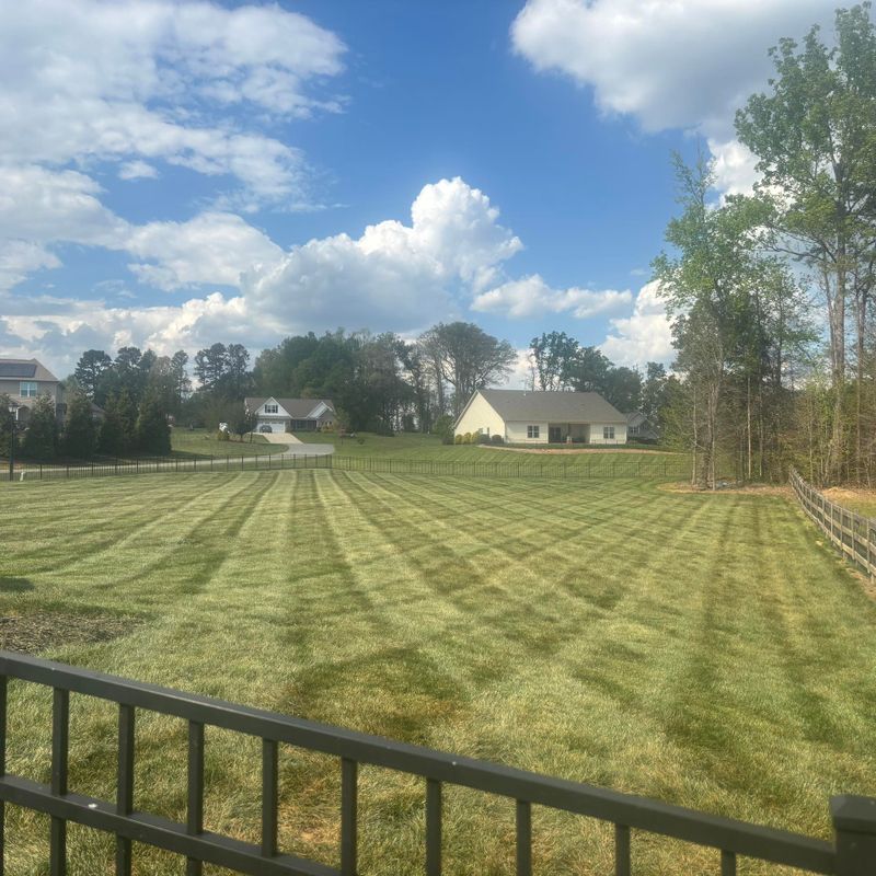 Lawn Care