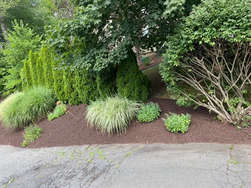 Mulching