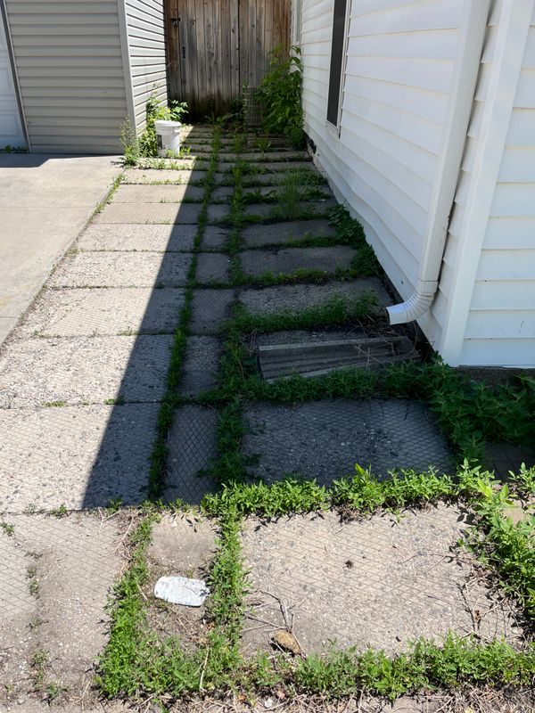 Before and After