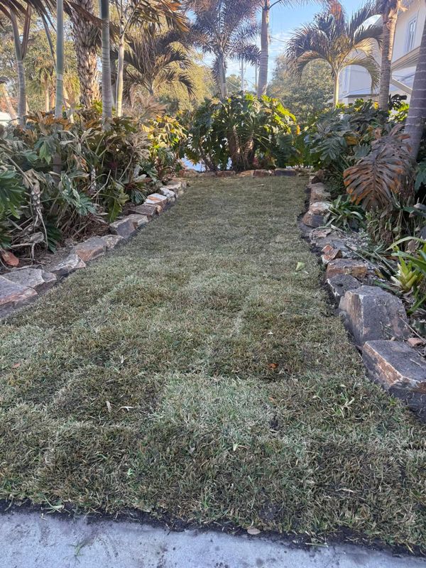 Sod installation