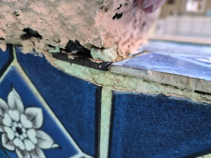 Leak Detection and Repair