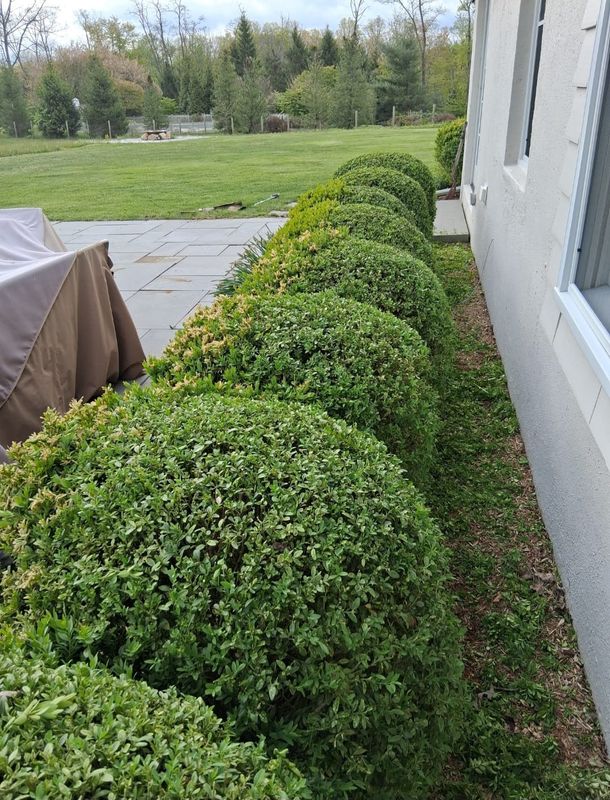 Landscaping