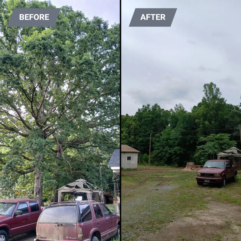 Land Clearing