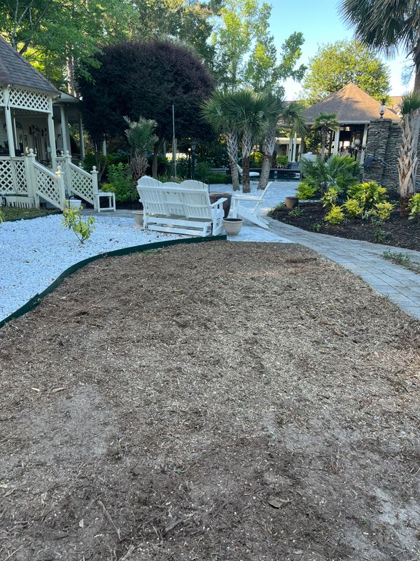 Yard Cleanup