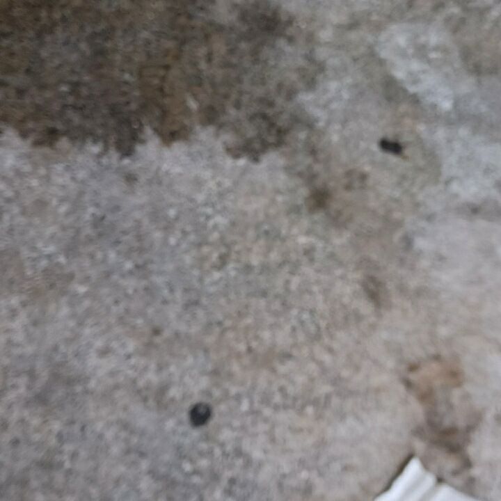 Pressure Washing