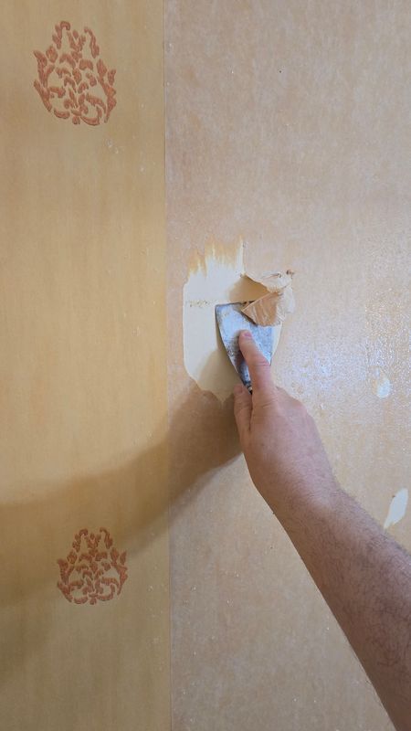 Wallpaper Removal