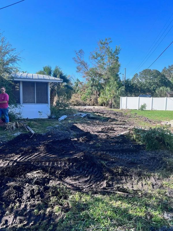 Stump Removal