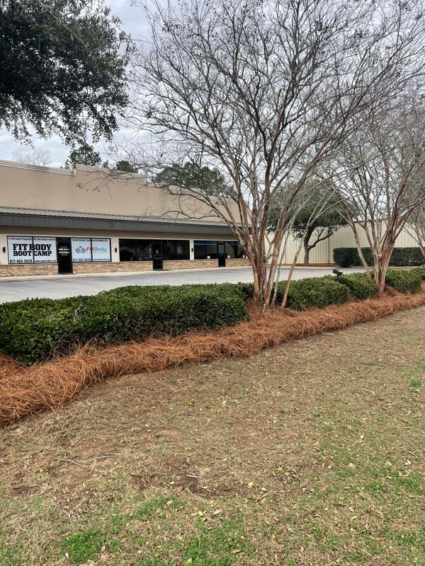 Mulch, Pine Straw Installation
