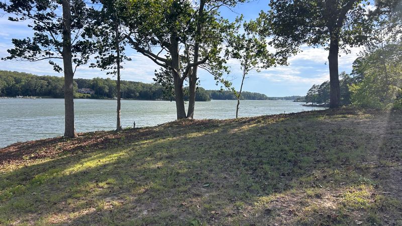 River Bank Clearing  gallery