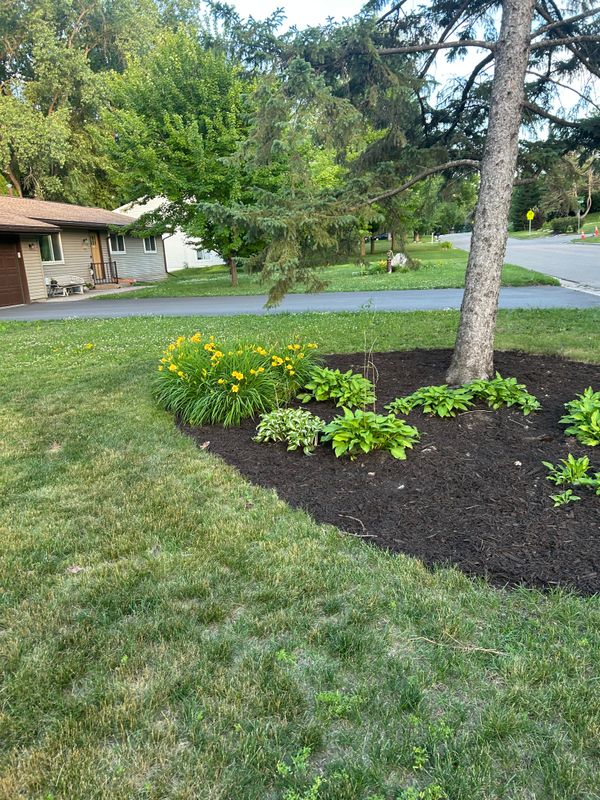 Flower Bed Gallery