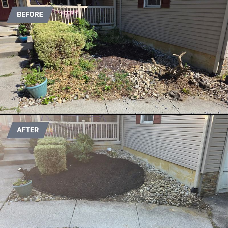 Lawn Care and Maintenance