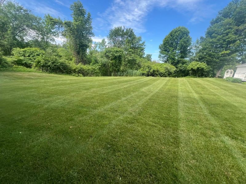 Mowing