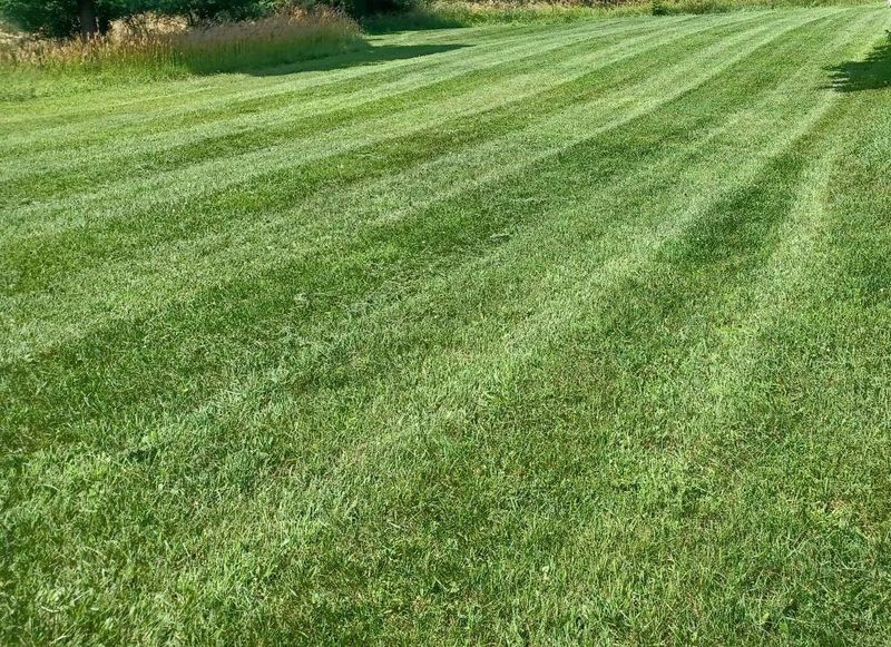 Lawn Care