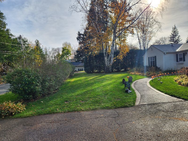 Fall clean up 