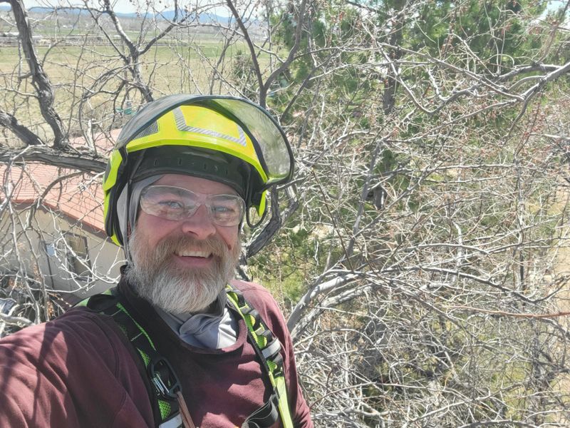 Aerial inspections