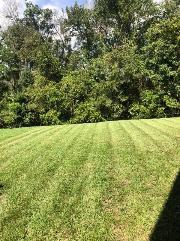 Landscaping