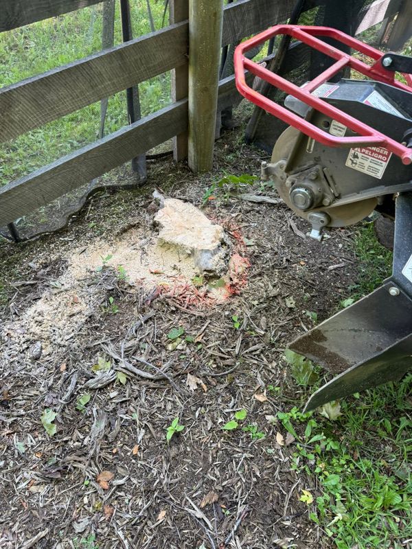 Stump Removal gallery