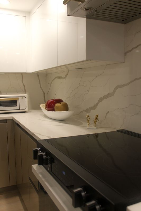Condo Renovations