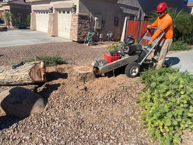 Stump Grinding