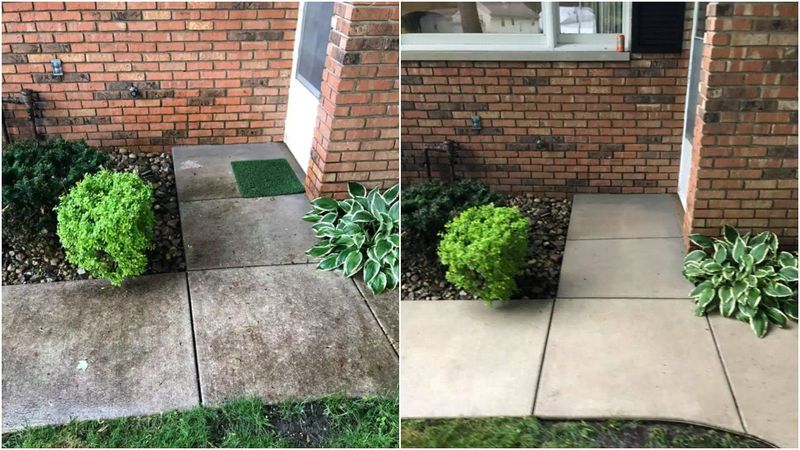 Driveway & Sidewalk Cleaning