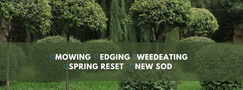 Riverdale Refresh: Premier Landscaping with ATP's Expertise
