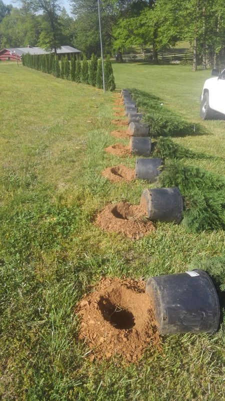 Lawn and Landscaping