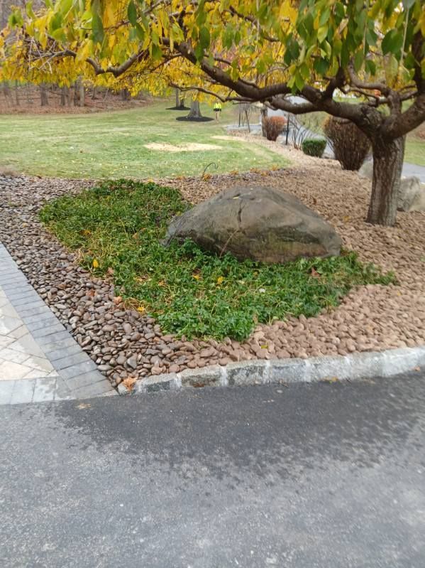 Complete Landscaping Design