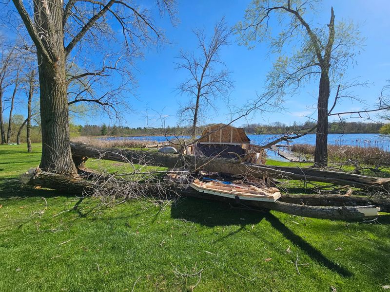 Storm Damage Mitigation