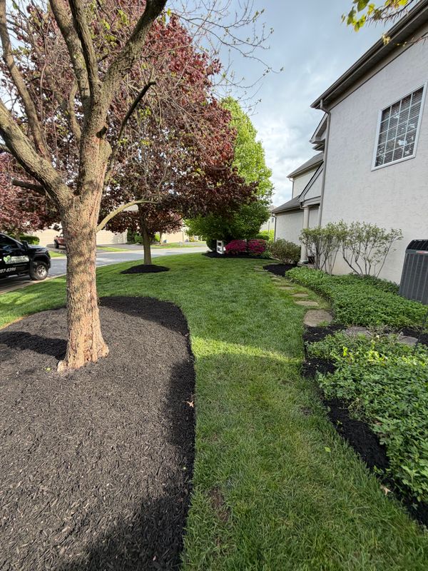 Property Maintenance