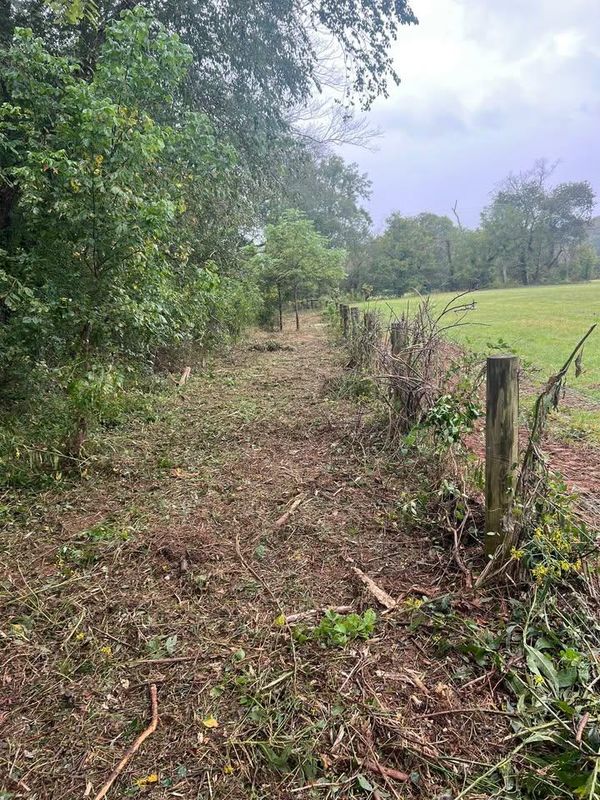 Land Clearing