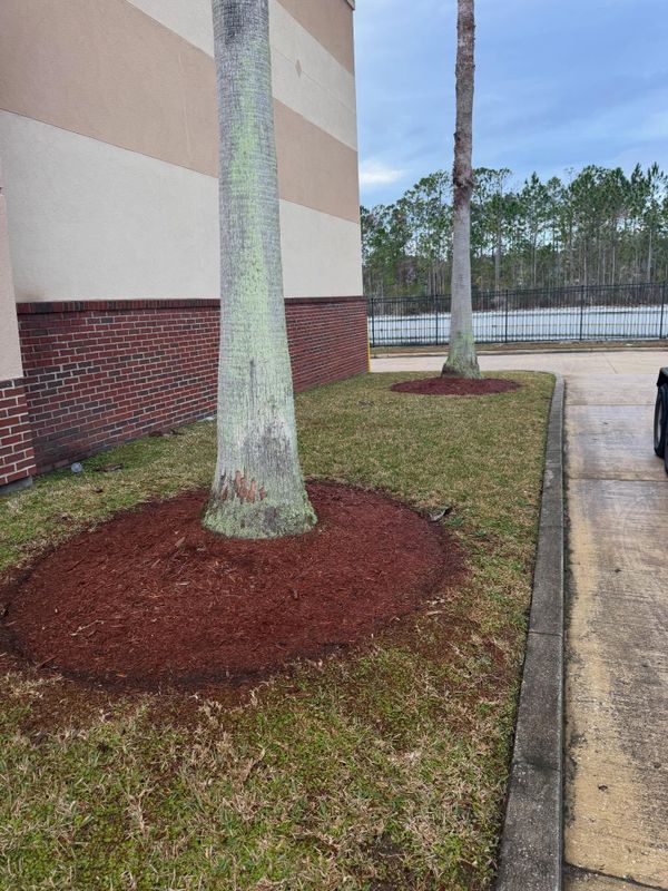 Mulch Installation