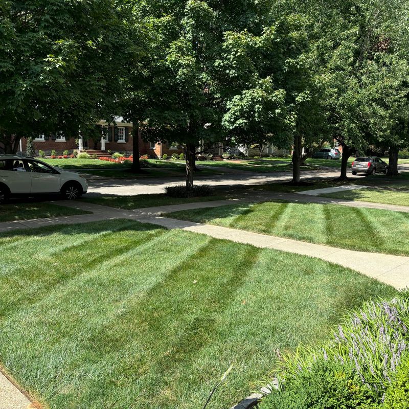 Residential & Commercial Property Maintenance