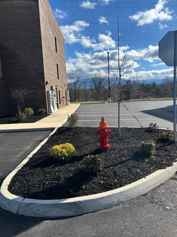 Mulch Installation
